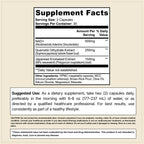 CELLSHE NAD+ Supplement Facts panel: NAD+ 500 mg, quercetin 250 mg, Japanese Knotweed extract 150 mg per 2-capsule serving