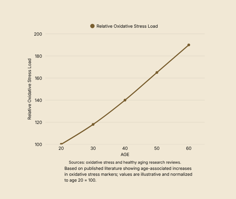 Line graph showing oxidative stress levels across adult age ranges